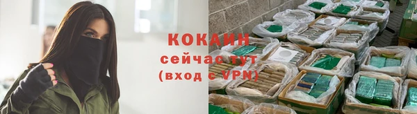PSILOCYBIN Новокубанск