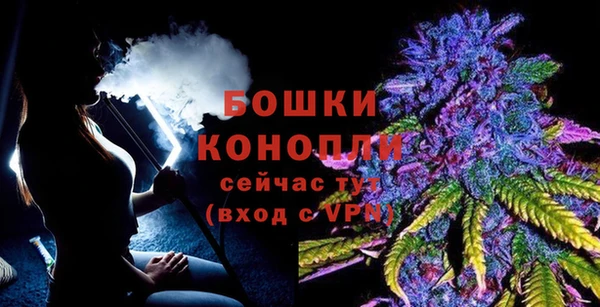 PSILOCYBIN Новокубанск