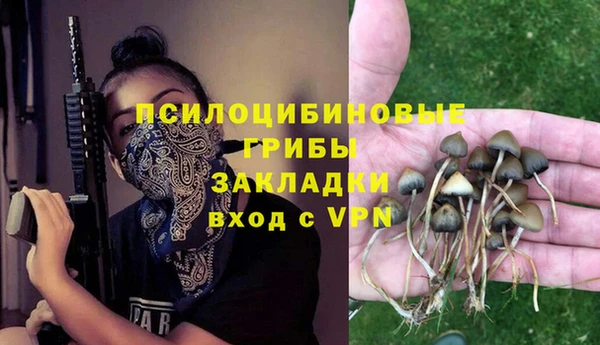 PSILOCYBIN Новокубанск