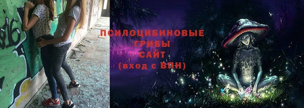 PSILOCYBIN Новокубанск